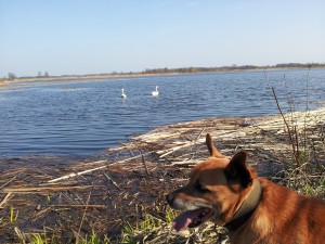 20140404_160159